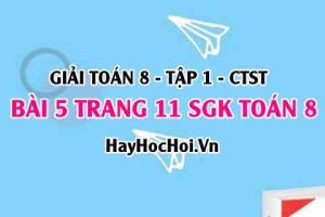 Giải bài 5 trang 11 Toán 8 Tập 1 SGK Chân trời sáng tạo